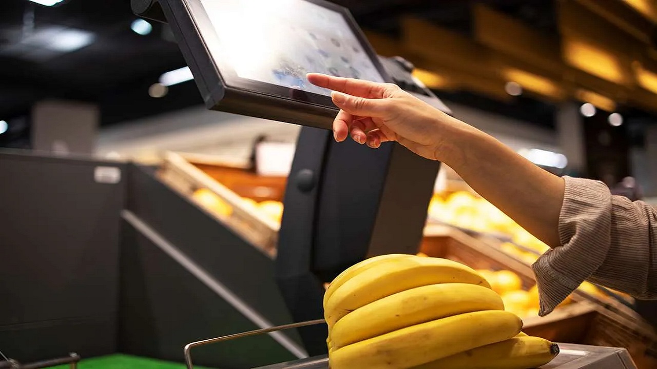 The Future of Shopping: Embedded Camera Innovations in Smart Checkout and Scan to Pay