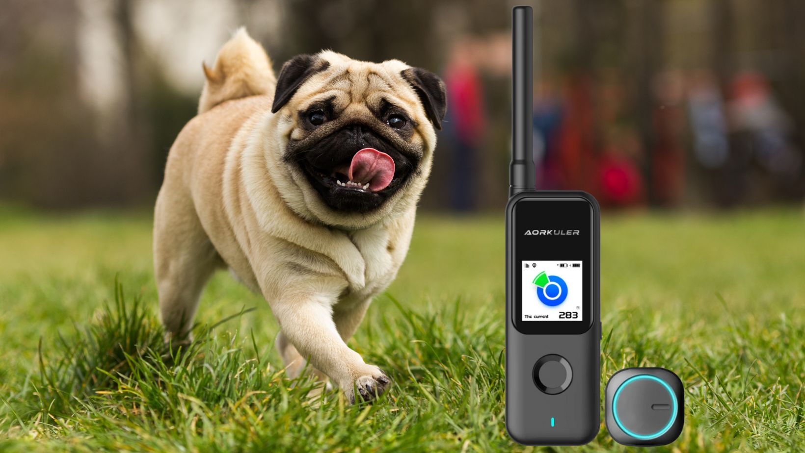 Important Points Worth Knowing Before Buying Aorkuler Dog GPS Tracker